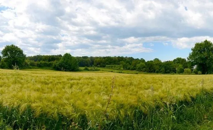 21 - Nelderhut Casa de Férias